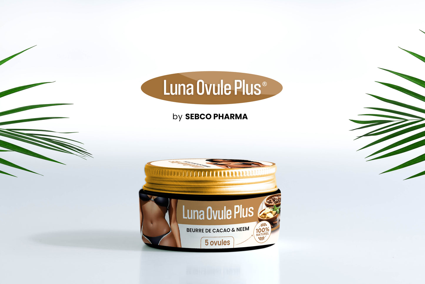 𝐋𝐔𝐍𝐀 𝐎𝐕𝐔𝐋𝐄 𝐏𝐋𝐔𝐒