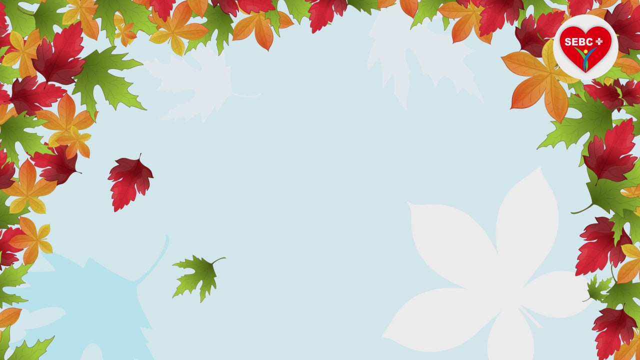 Charger la vidéo : 